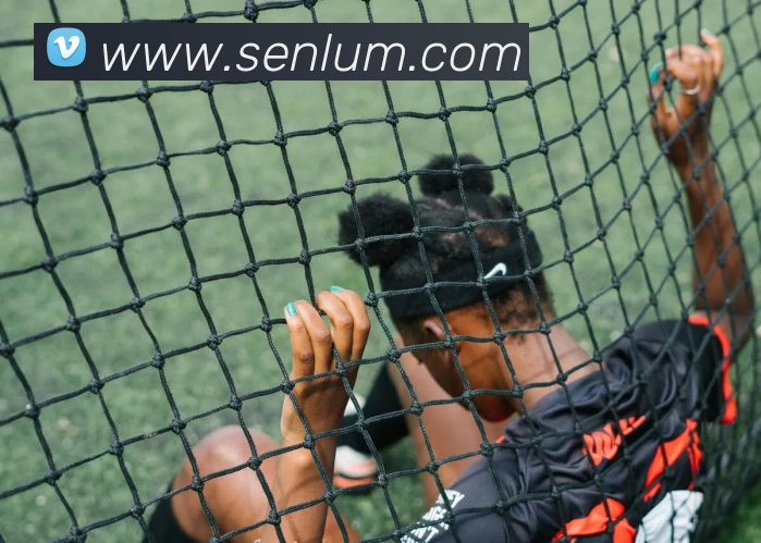 App Interface Preview